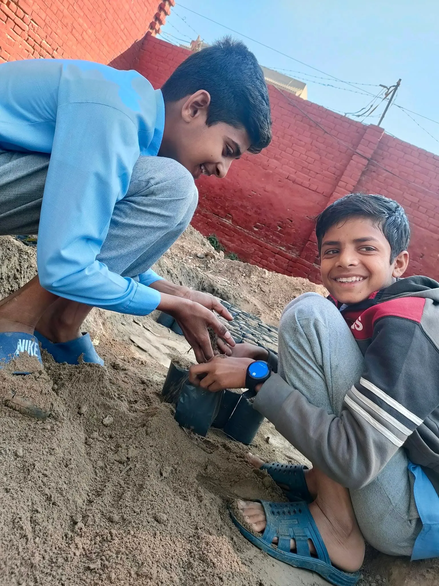 Green Seekers Activity